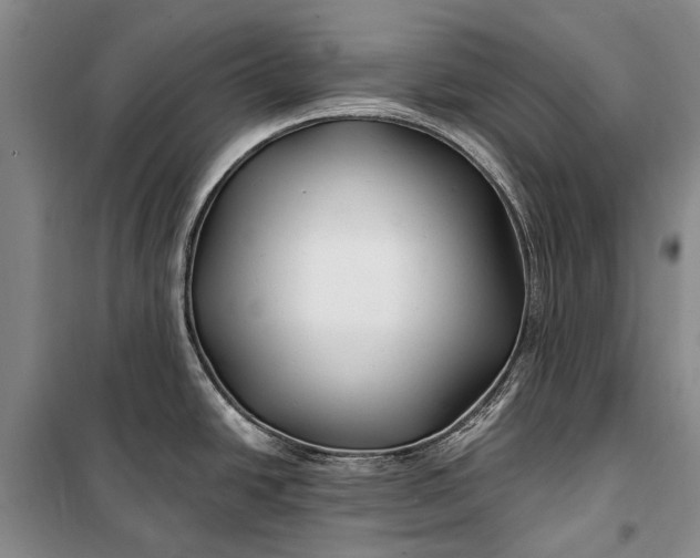 X0000100211438200806131242