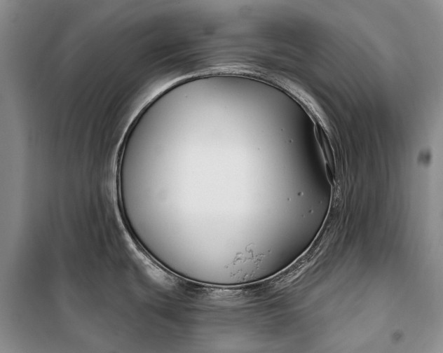 X0000100211439200806131242