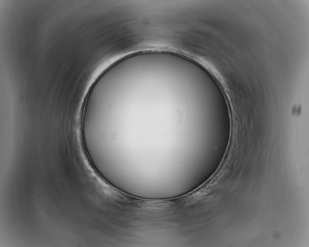 X0000100211440200806131242