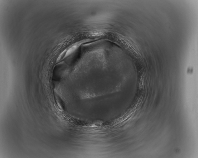 X0000100211441200806131242