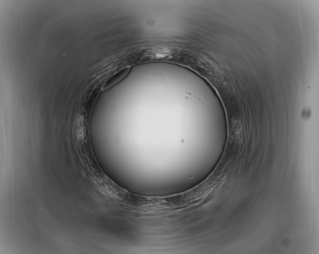 X0000100211442200806131242