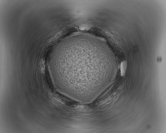 X0000100211443200806131242