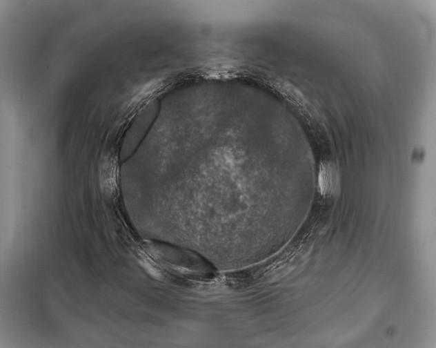 X0000100211444200806131241