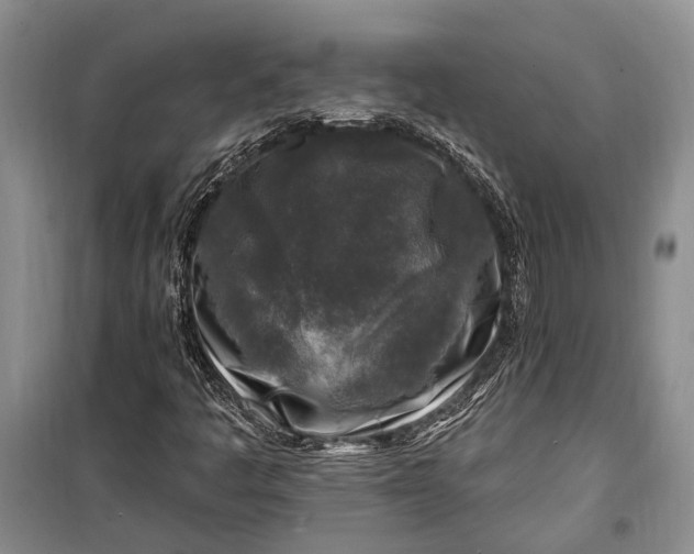 X0000100211445200806131241