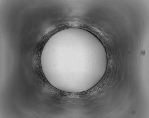 X0000100211446200806131241