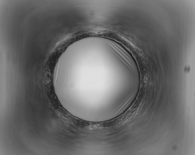 X0000100211447200806131241