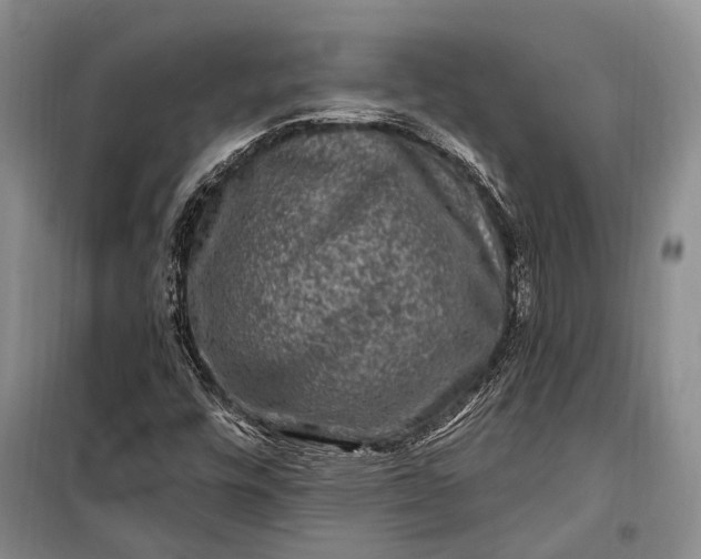 X0000100211448200806131241