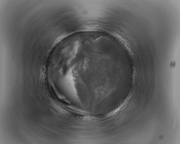 X0000100211449200806131241