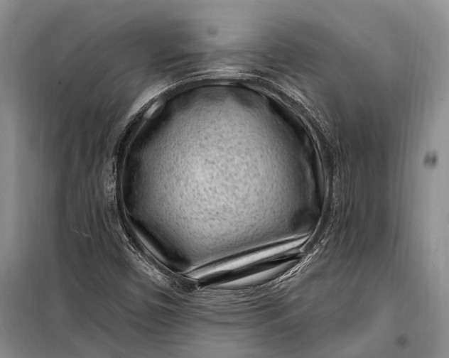 X0000100211450200806131241