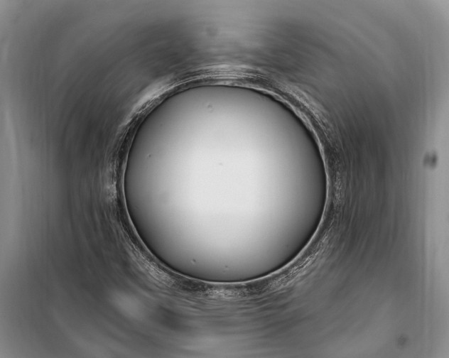 X0000100211451200806131241