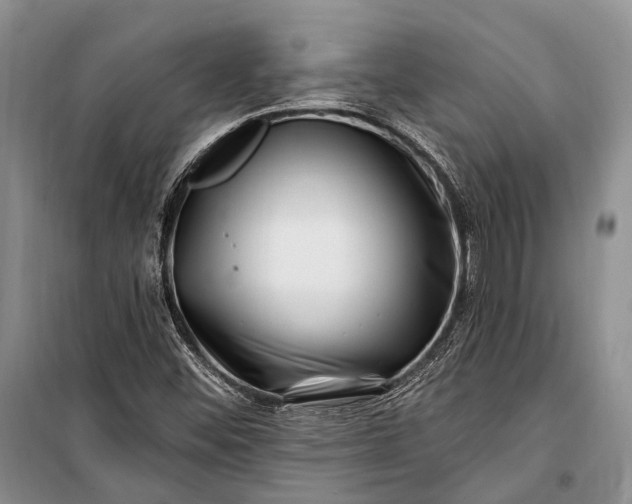 X0000100211452200806131241