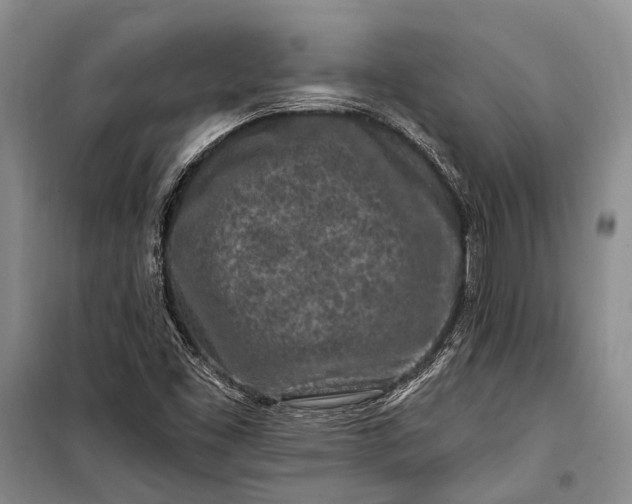 X0000100211453200806131241