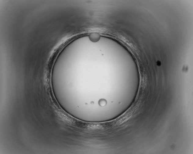 X0000100211454200806131241