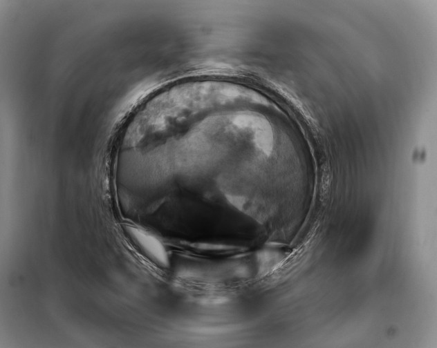 X0000100211455200806131241