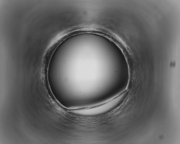 X0000100211456200806131241