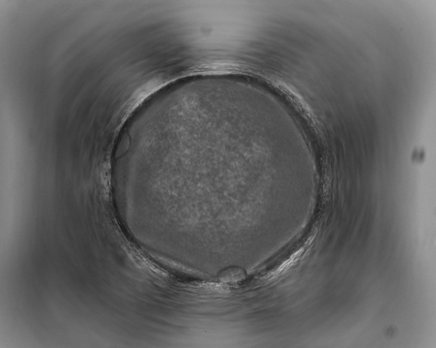 X0000100211457200806131241