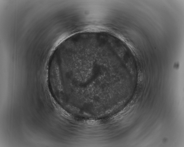 X0000100211459200806131241