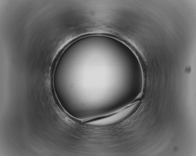 X0000100211460200806131241