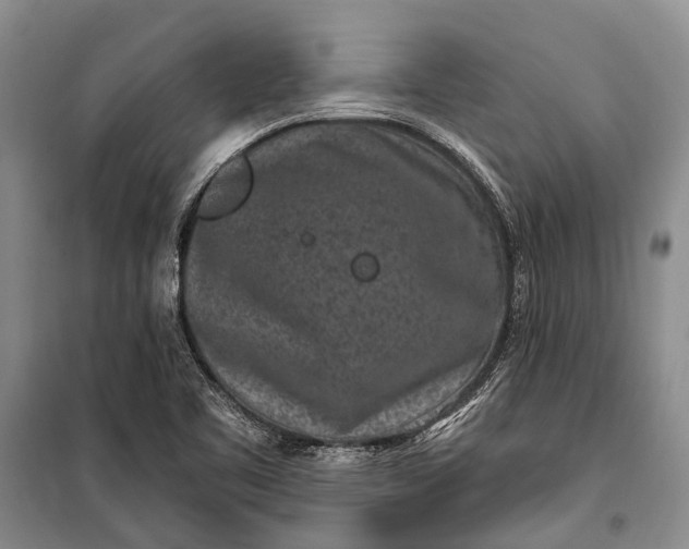 X0000100211461200806131241