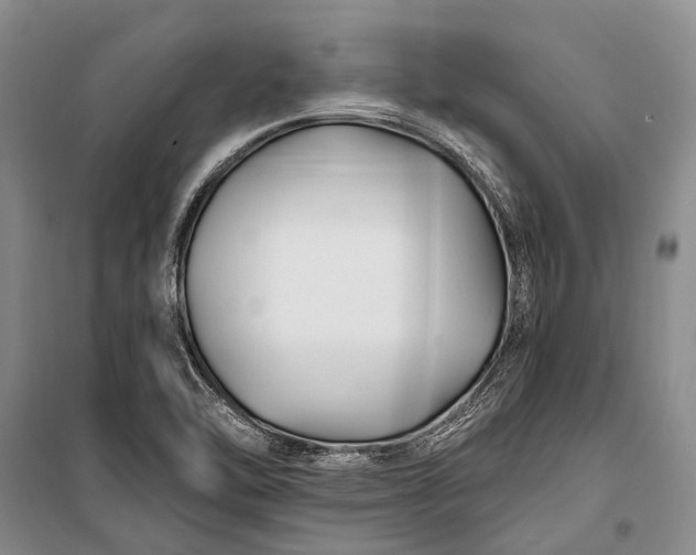 X0000100211462200806131241