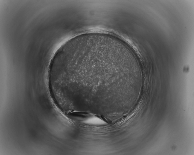 X0000100211463200806131241