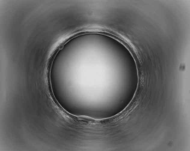 X0000100211464200806131241