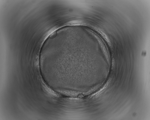 X0000100211465200806131241