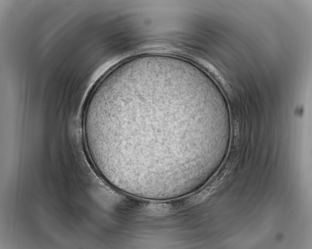 X0000100211466200806131241