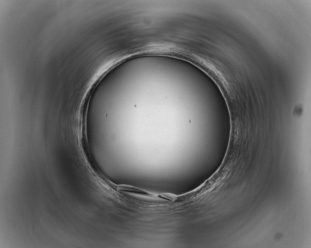 X0000100211467200806131241