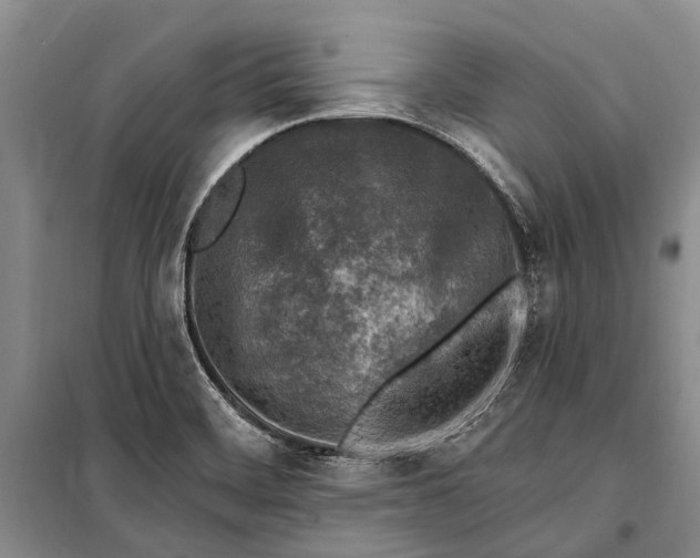 X0000100211468200806131241