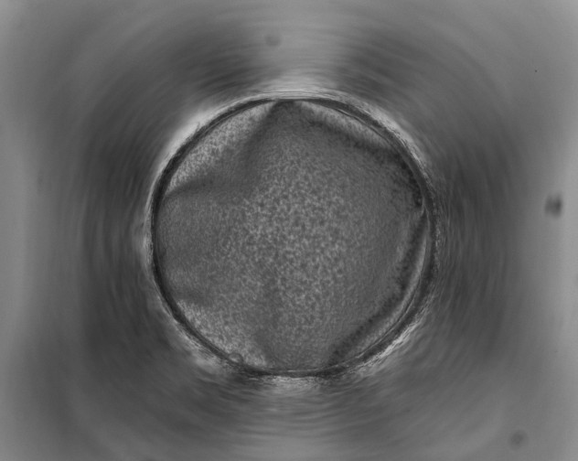 X0000100211469200806131241