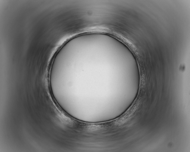 X0000100211470200806131241