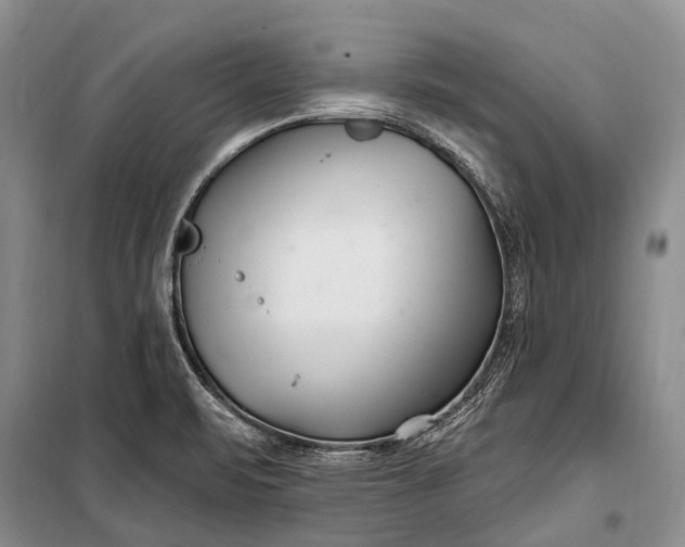 X0000100211471200806131241