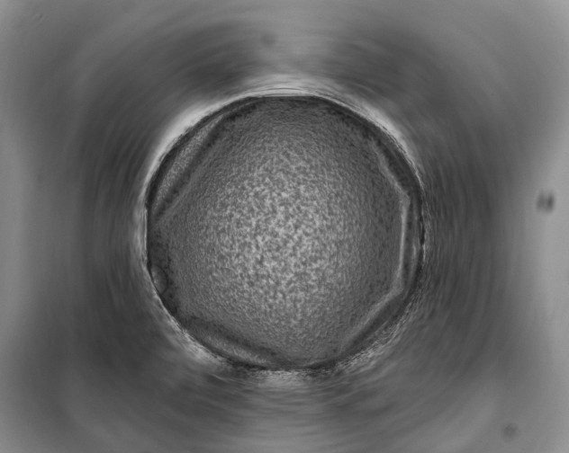 X0000100211472200806131241