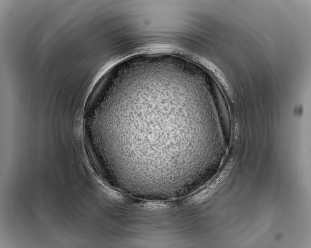 X0000100211473200806131241