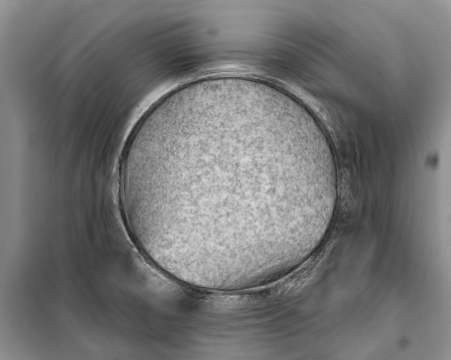 X0000100211474200806131241