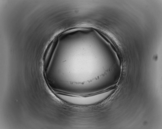 X0000100211476200806131241