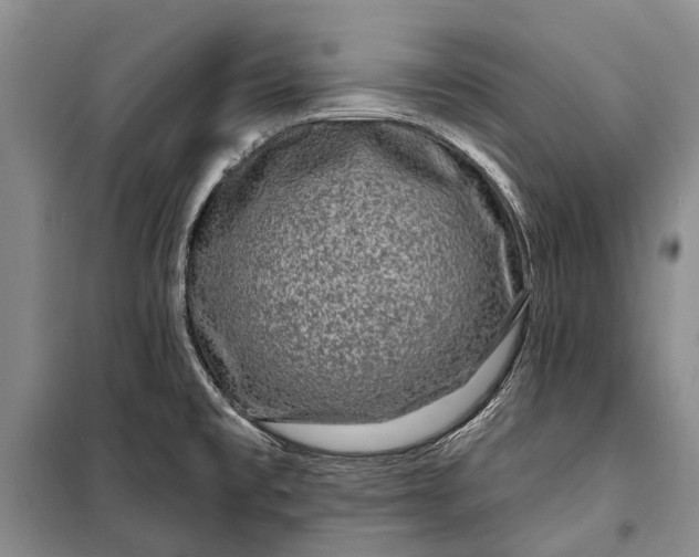 X0000100211477200806131241