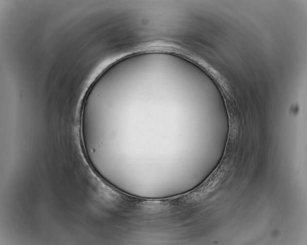 X0000100211478200806131241