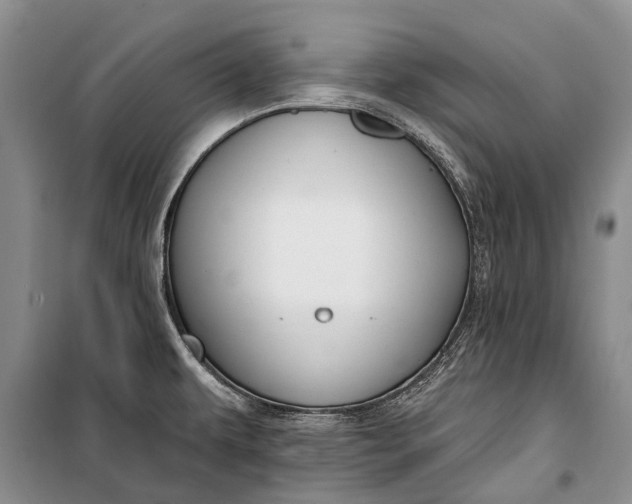 X0000100211479200806131241