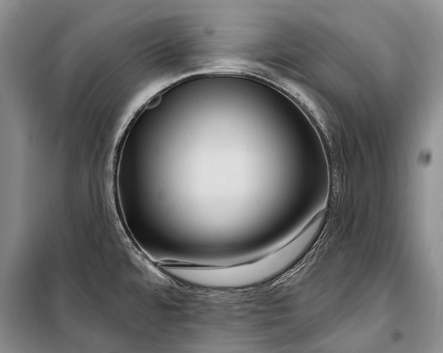 X0000100211480200806131241