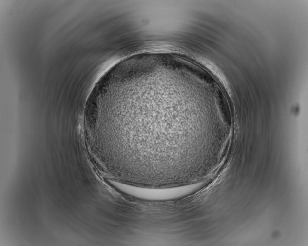 X0000100211481200806131241