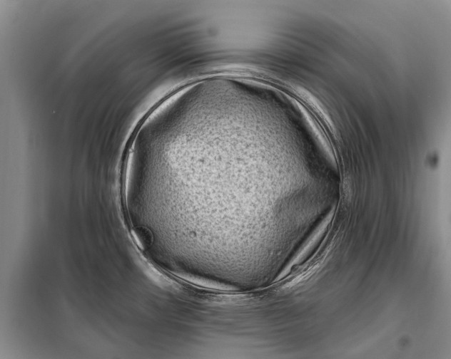 X0000100211482200806131241