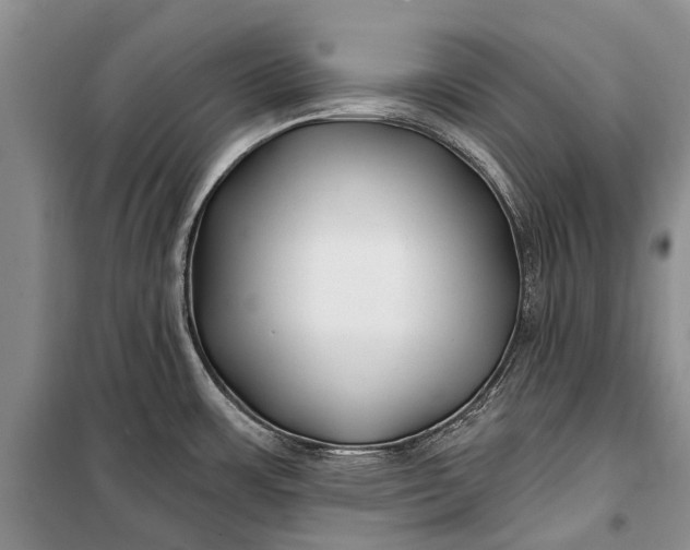 X0000100211483200806131241