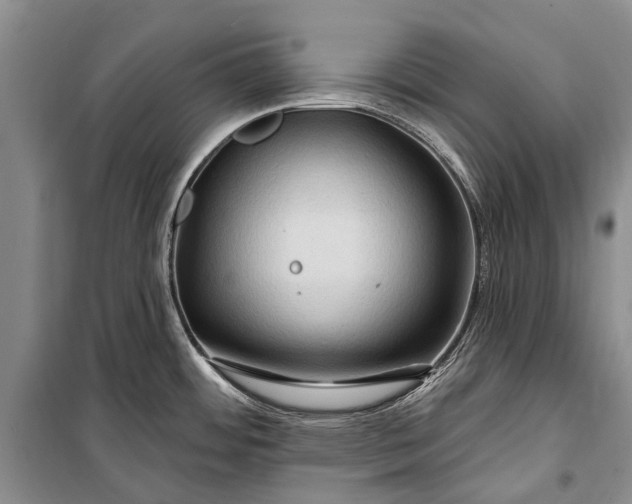 X0000100211484200806131241