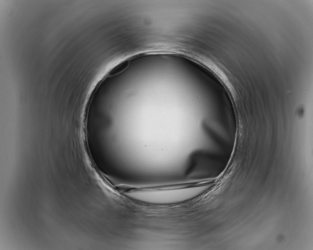 X0000100211485200806131241