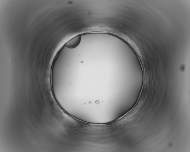 X0000100211486200806131241