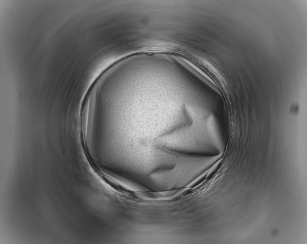 X0000100211487200806131241