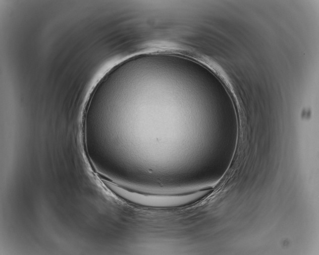 X0000100211488200806131241