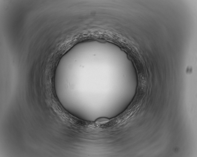 X0000100211489200806131240